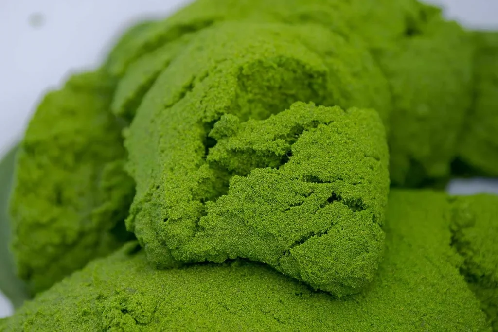 ไข่ผำ ไข่น้ำ (Wolffia) หรือวูฟเฟีย ซูเปอร์ฟู้ดสีเขียวจากธรรมชาติ อาหารแห่งอนาคต ไข่ผำ ไข่น้ำ (Wolffia) หรือวูฟเฟีย อาหารแห่งอนาคต